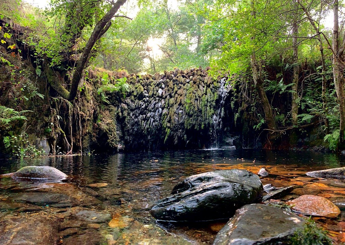 Presa del Concejo, Calabor