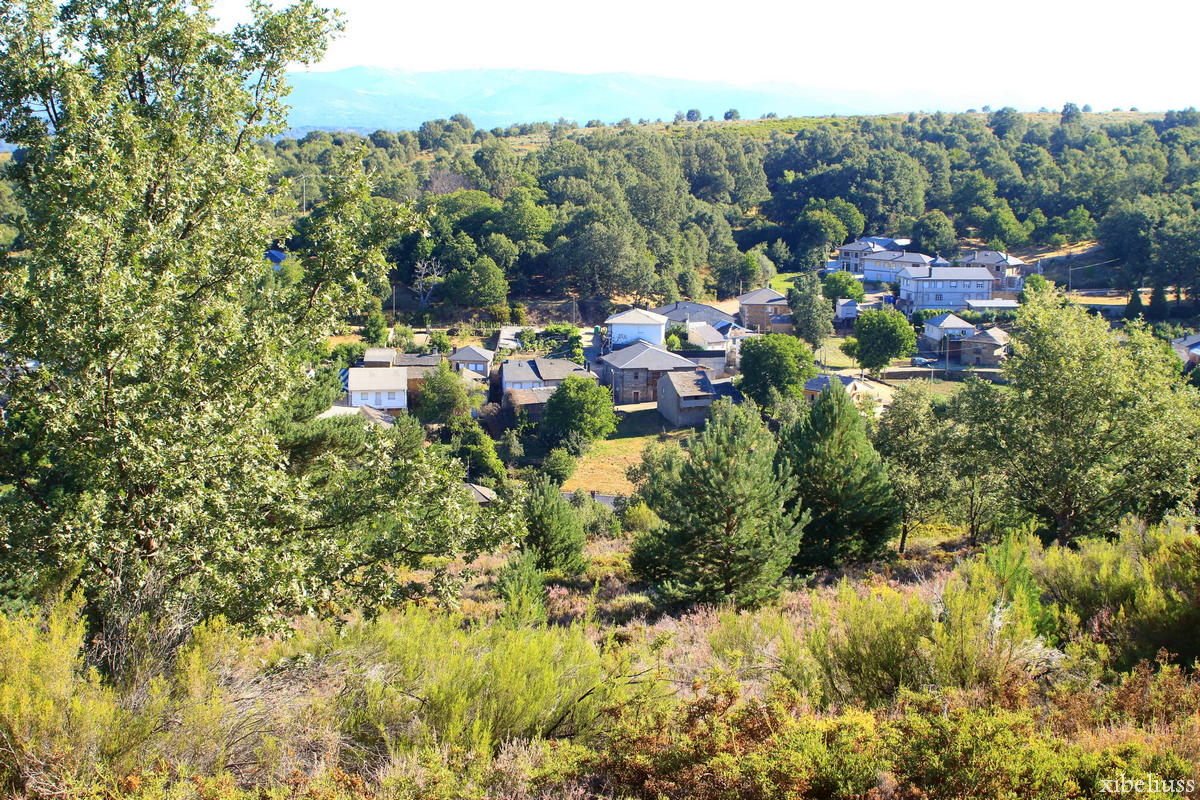 Desde el alto