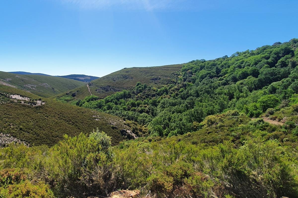 Paisaje