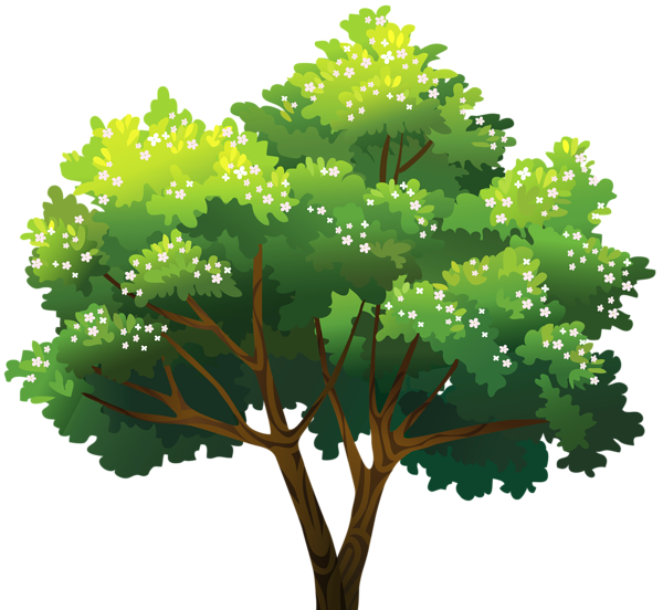 Arbol